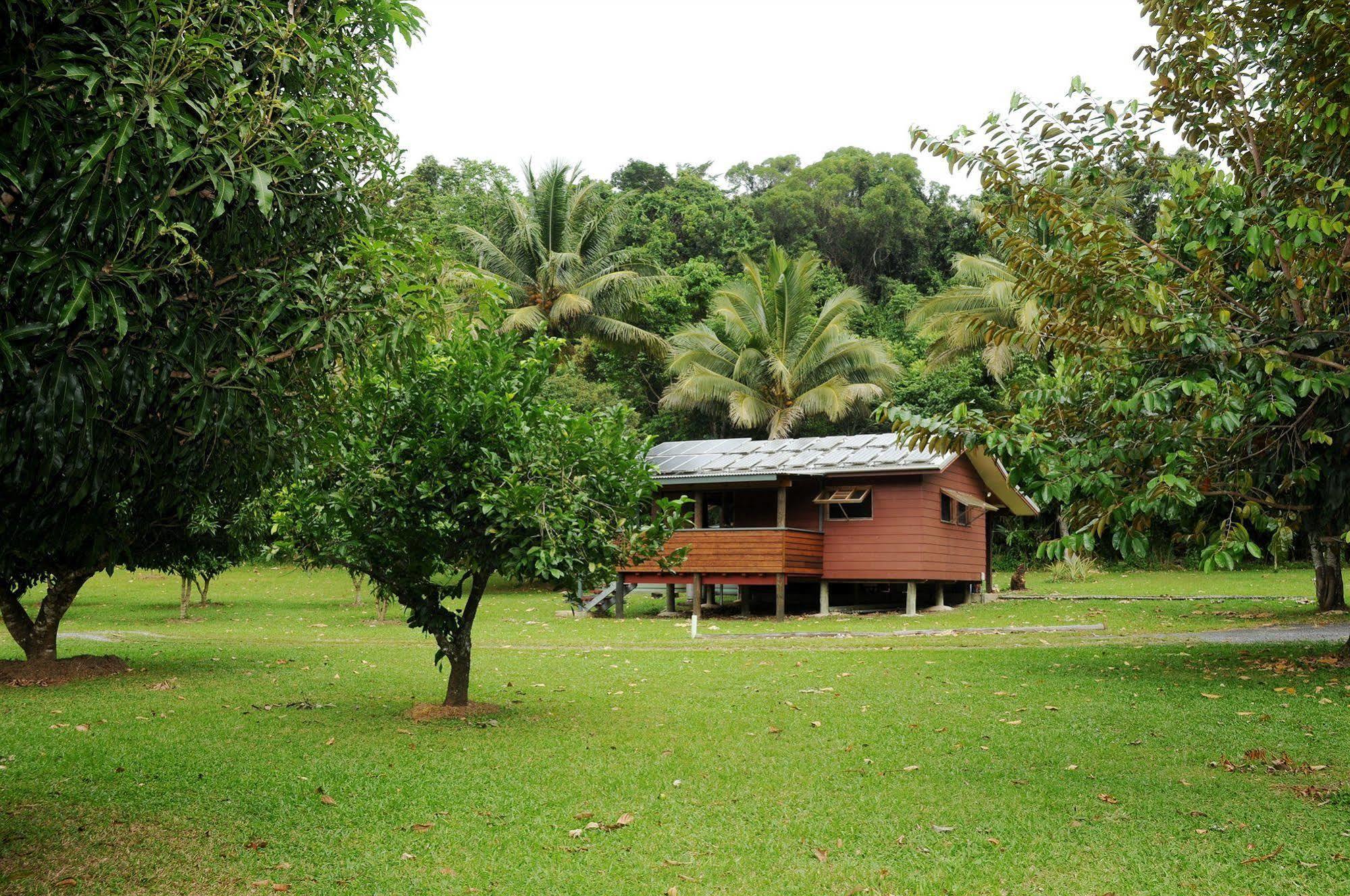 Daintree Rainforest Bungalows Villa Cow Bay Dış mekan fotoğraf